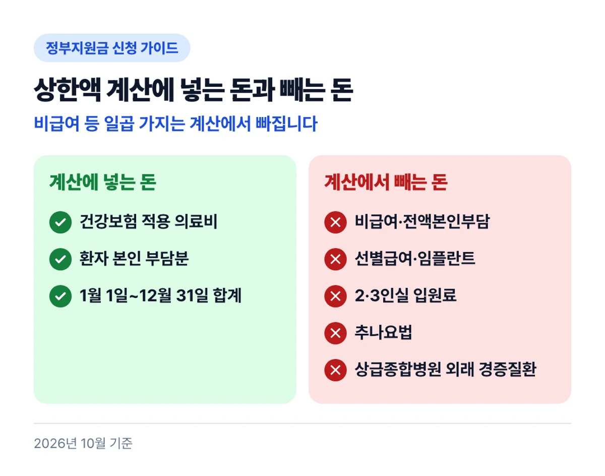 상한액 계산에 넣는 돈과 빼는 돈: 비급여 등 일곱 가지는 계산에서 빠집니다