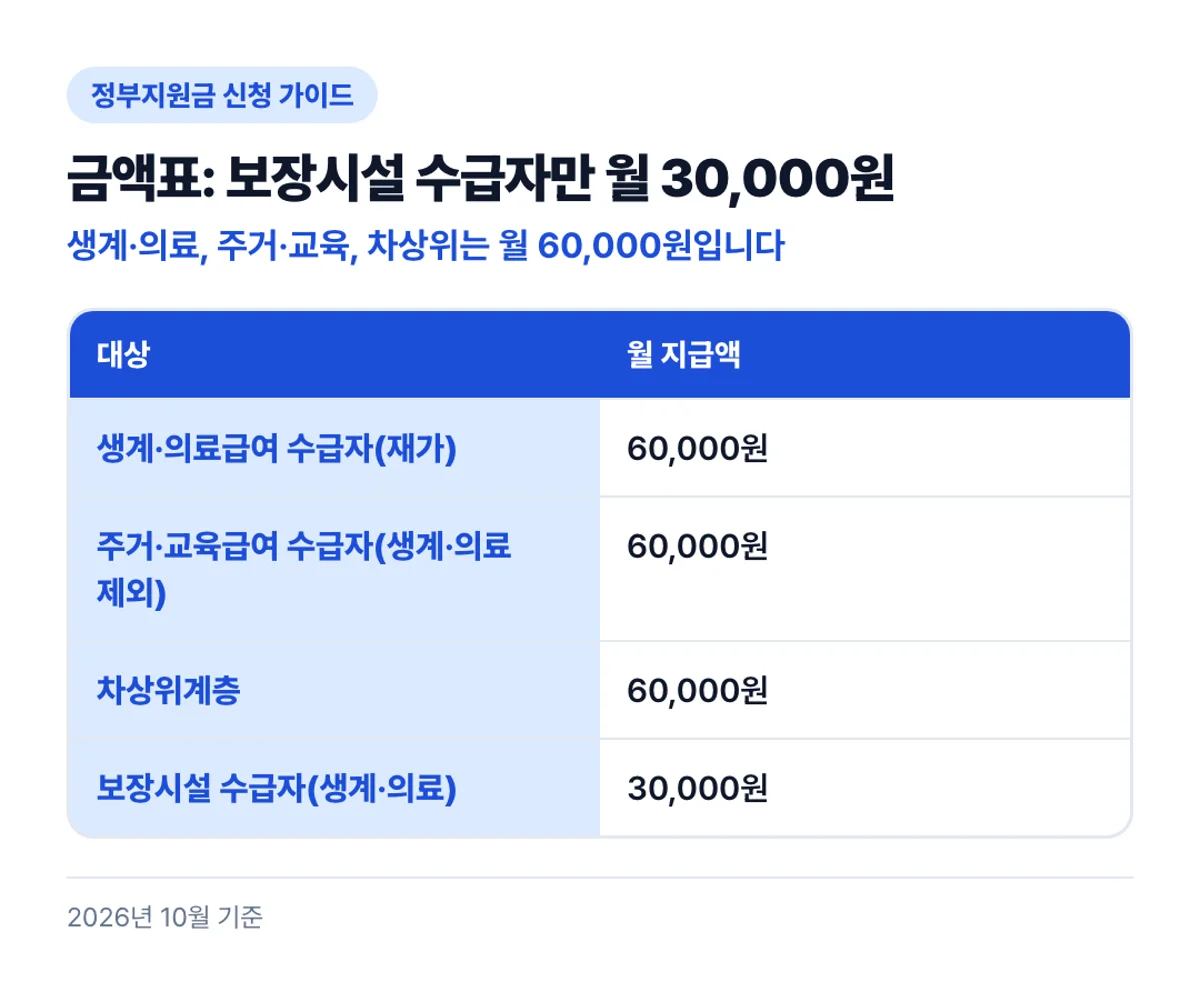 금액표: 보장시설 수급자만 월 30,000원: 생계·의료, 주거·교육, 차상위는 월 60,000원입니다